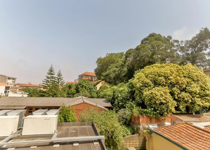 Lejlighed Cedofeita Downtown Nightlife By Pch